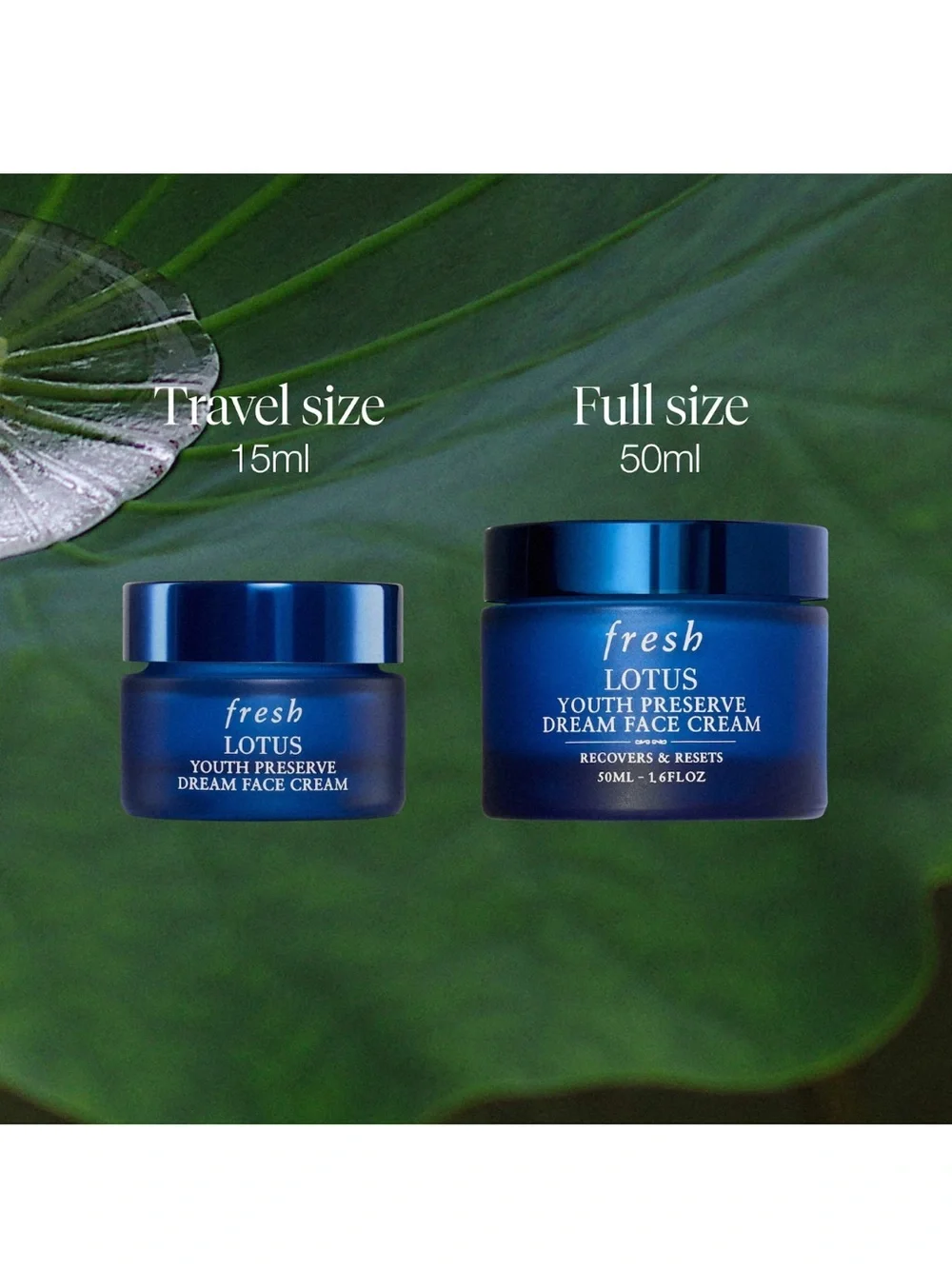 fresh antioxidant cream
